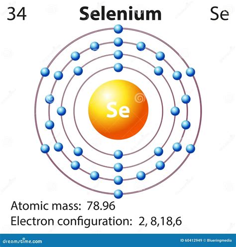 electron dot structure for selenium|electron dot structure of selenium.